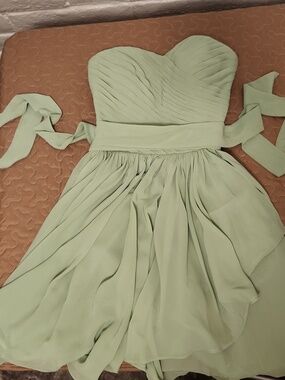 Babaroni Strapless Pleated Sage Green Chiffon Dress